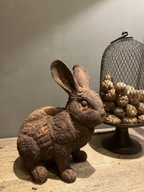 Haasje in roest verf