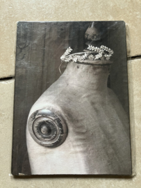 Paneeltje, paspop