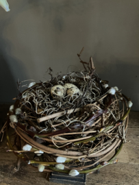 Nestje met eitjes