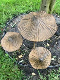 Roest metalen paddestoel, S