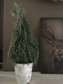 Kerstboompje ice in pot 45cm
