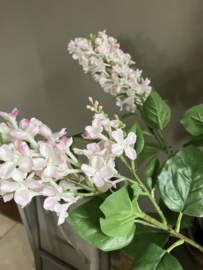 Sering wit/roze