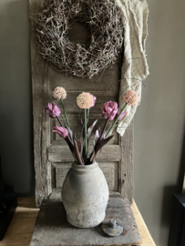 Bos tulpen, allium, tak