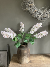 Sering wit/roze