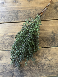 Kunst dadeltak,  groen