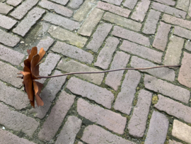 Roest metalen papaver