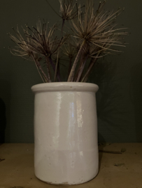 Oude zalfpot, creme
