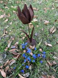 Roest metalen tulp, 28cm
