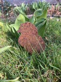 Kip, haan met 2 kuikens roest metaal