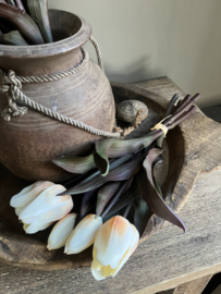 Bosje tulpen, creme 30cm