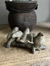 Vogeltjes op tak