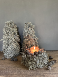 Mostaartje met windlichtje