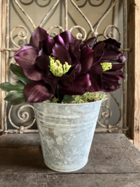 Kunst helleborus bush, paars