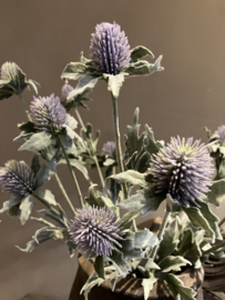 Distel tak 40cm