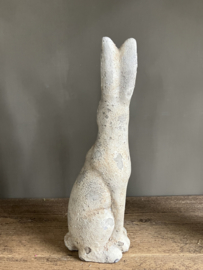 Betonnen haas, 2