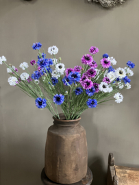 Korenbloem blauw, 65cm