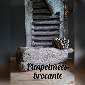 Pimpelmees-brocante