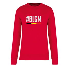 Sweater BLGM driekleur - rood