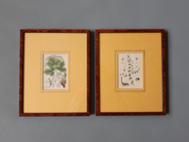 Twee vintage botanische prenten met  lijst
