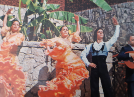 Vier jaren '60 onderzetters 'Flamenco'