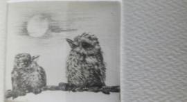 Miniatuurtekening vogels