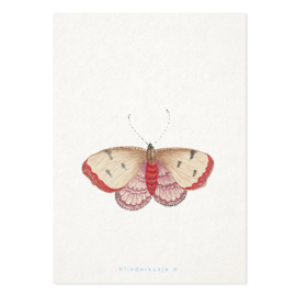 Luxe ansichtkaart Vlinder 'Violet'