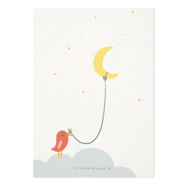 Luxe ansichtkaart 'Vogeltje met maanballon'
