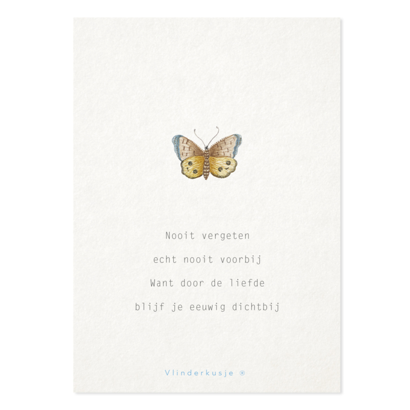 Luxe ansichtkaart Vlinder 'Dichtbij'