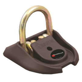 DoubleLock Dock Lock