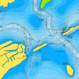Navionics+ MicroSD Leeg