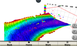 Garmin Panoptix PS30 Down, Transom/Trolling