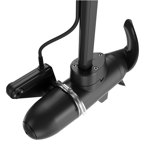 Lowrance Eagle Eye trolling motor mount