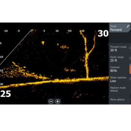 Lowrance ActiveTarget 2