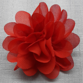 bloem 8cm rood