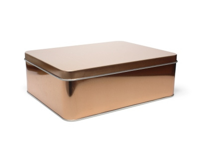 Regelmatig krullen onderdak Blikken doos - rosé goud - groot | Blikken dozen en magneetdozen | Het  KadoPaleisje