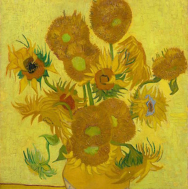 Bloemen van Van Gogh