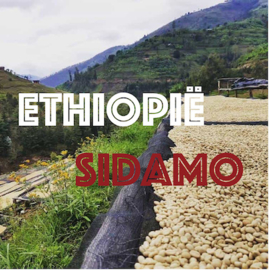 Ethiopië Sidamo