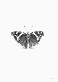 Kaart | Atalanta vlinder | inkylines