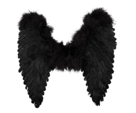 Wings black  50x50 cm
