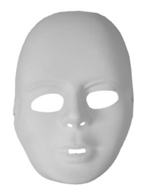 Plastic mask