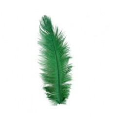 Struisveer plus minus 34-38 cm groen