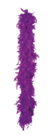 Boa Purple