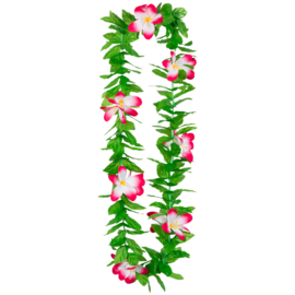 Hawaïkrans Lulani