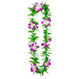 Hawaïkrans Lulani