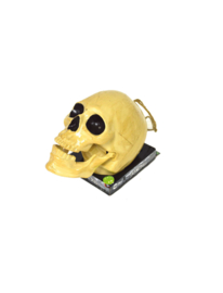 Singing skull with light and moving mouth plus minus 19 cm