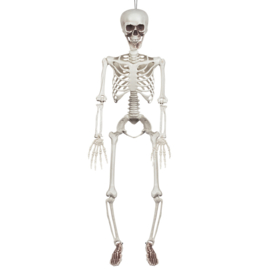 Decoratie Skelet (91 cm)