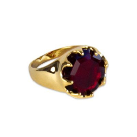 Sinterklaas ring Rond Rood