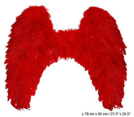 Vleugel red ca 70x65 cm