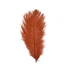 Struisveer plus minus 34-38 cm Rood