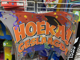 Hoera geslaagd deurbord